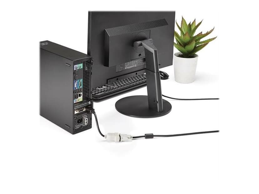 Startech DisplayPort to DVI Video Converter 0.24m DisplayPort DVI-D Zwart