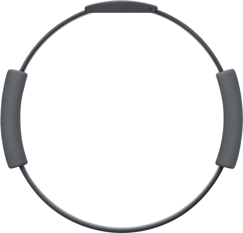 Nintendo Ring Fit Adventure