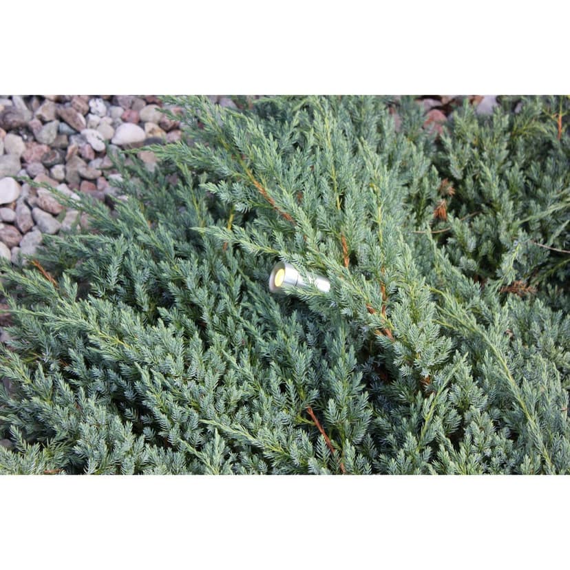 LightsOn Optica Hagespot Aluminium