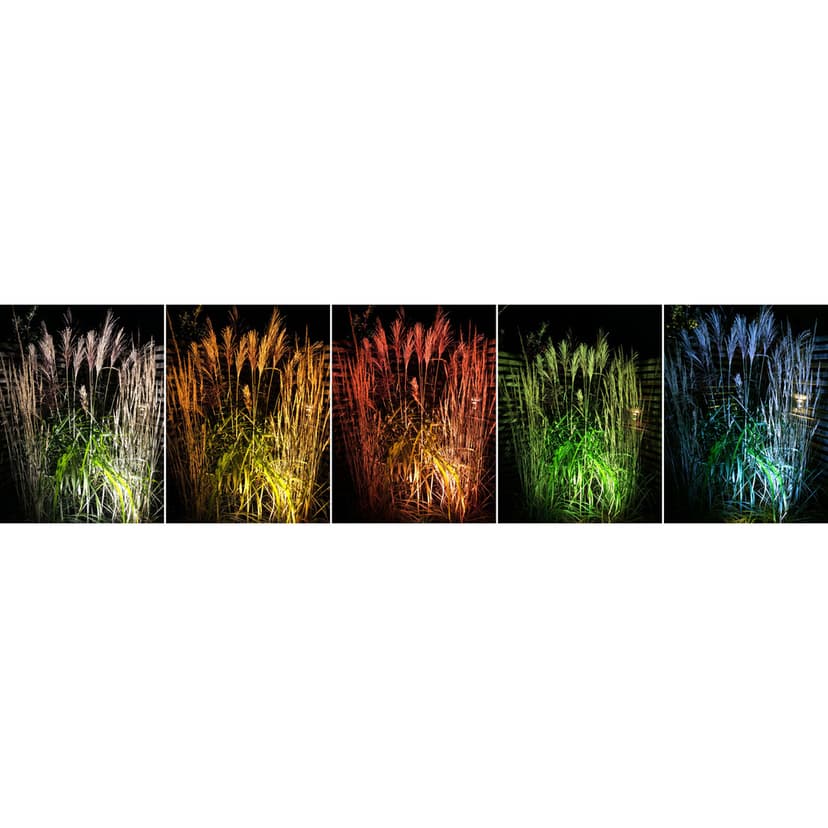 LightsOn Medusa Markspot Med Färgfilter