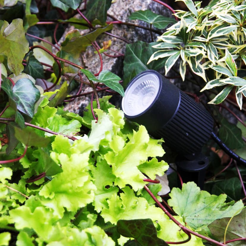LightsOn Medusa Markspot Med Fargefilter