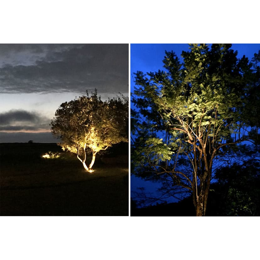 LightsOn Sirius Spot Svart