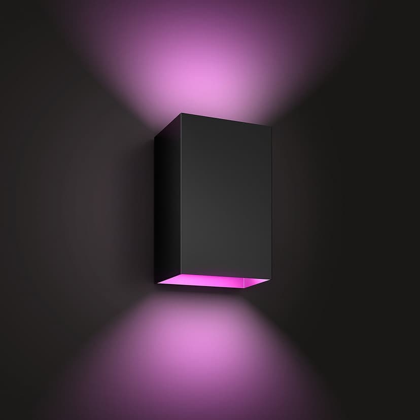 Philips Hue Outdoor Resonate Wall Lantern 2X8w 24V, Black