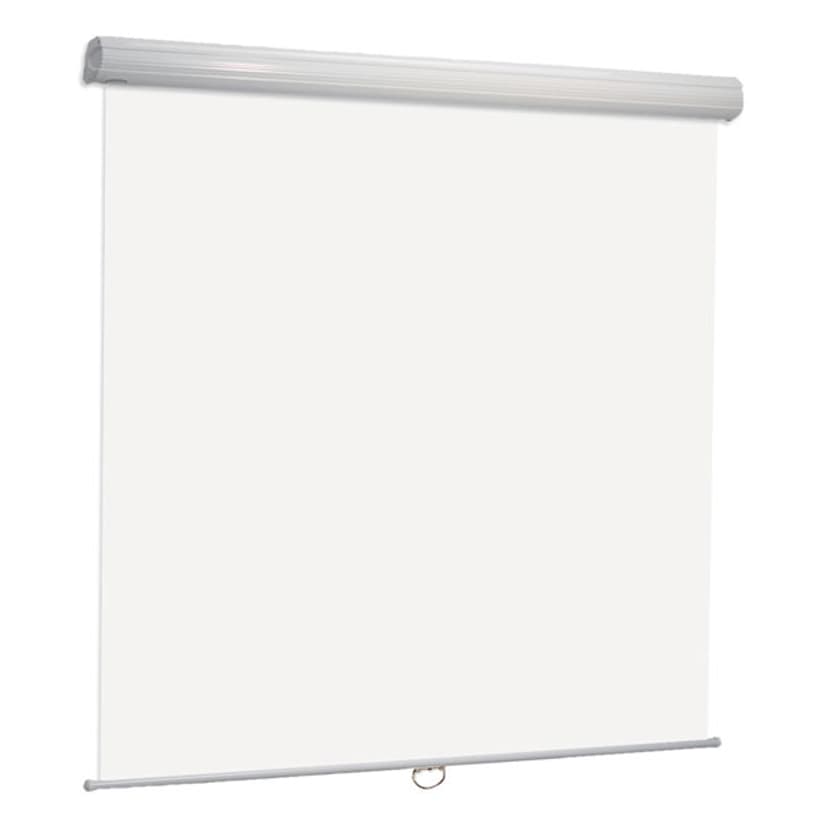 Draper Euroscreen Diplomat Manual with Soft&Quiet 1:1 Format