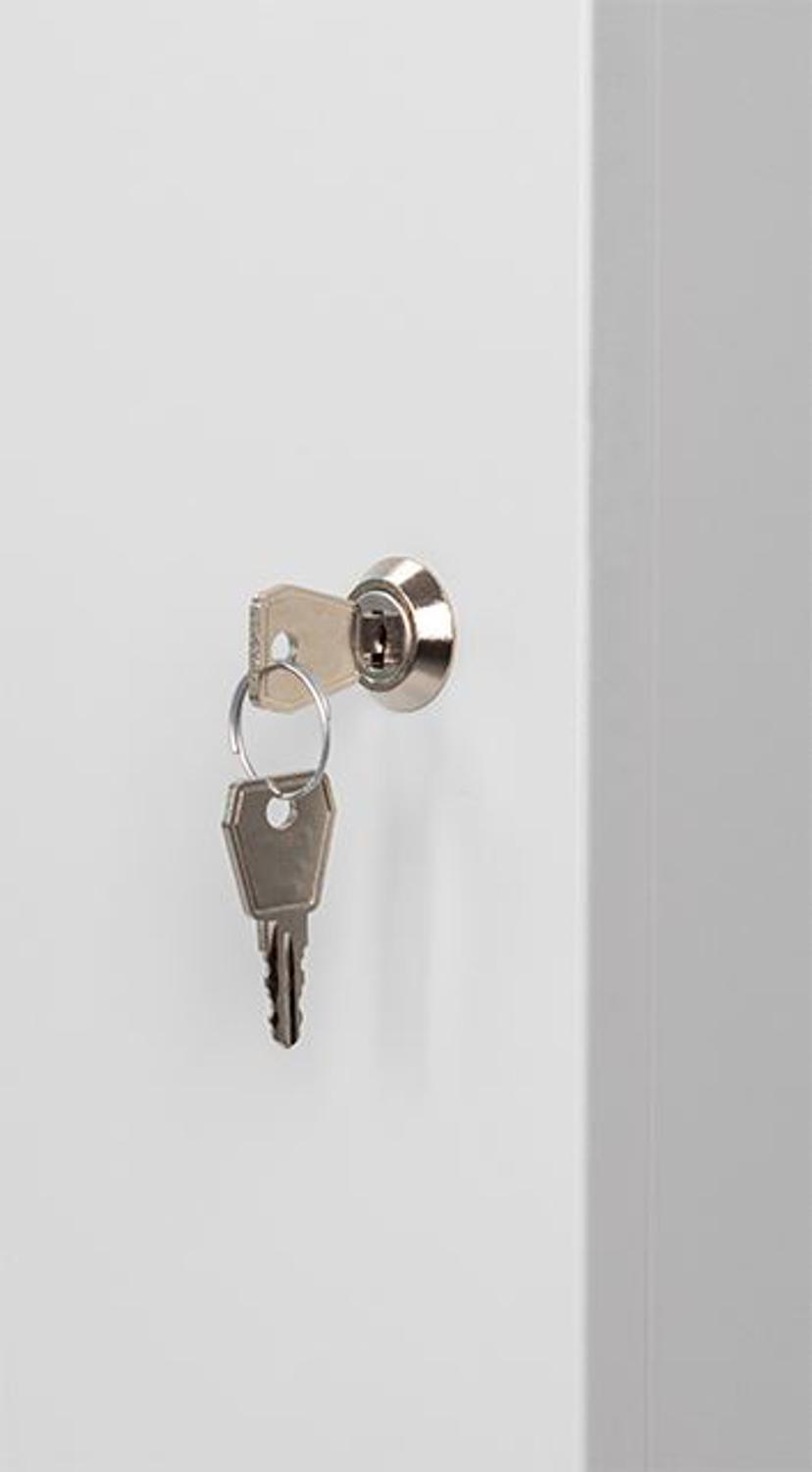 Direktronik Wall Rack 10" 9U Metal Door