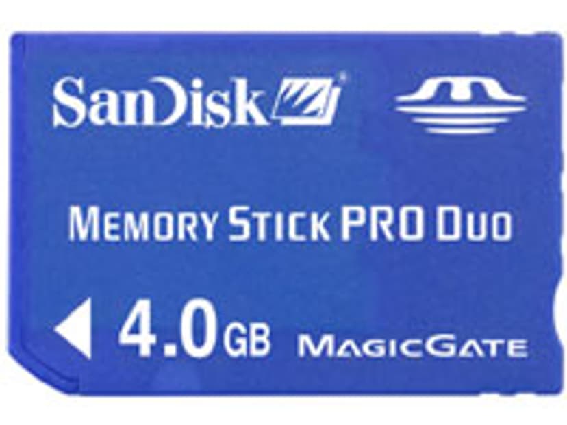 SanDisk Flash-minneskort