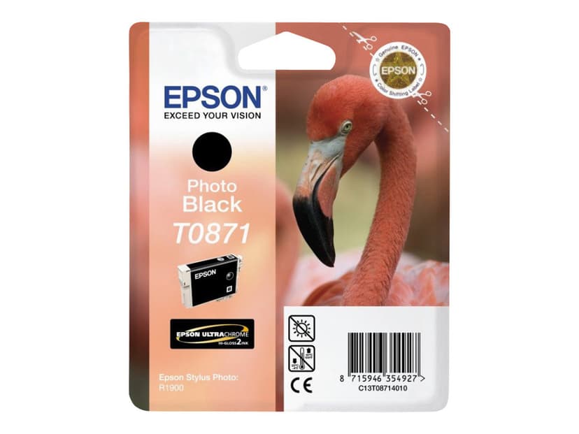 Epson Inkt Foto Zwart T0871 - R1900