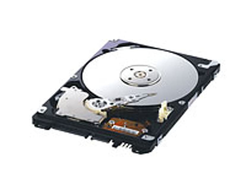 Samsung SpinPoint M6 HM320JI