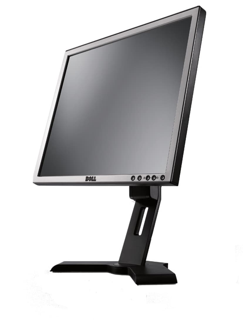Dell Professional P190S