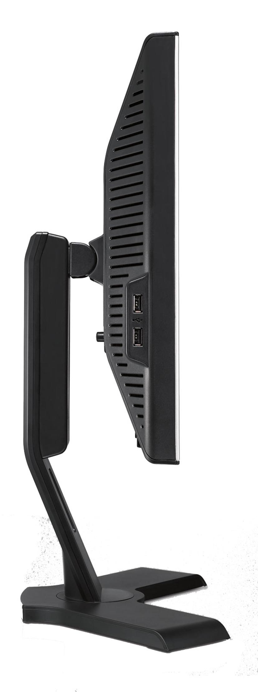 Dell Professional P190S
