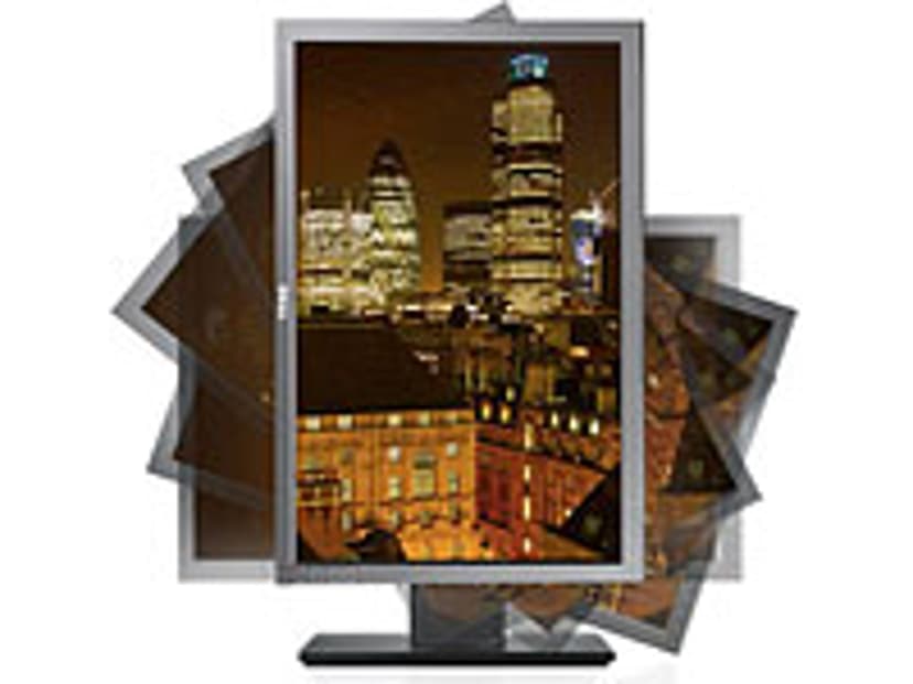 Dell P2210