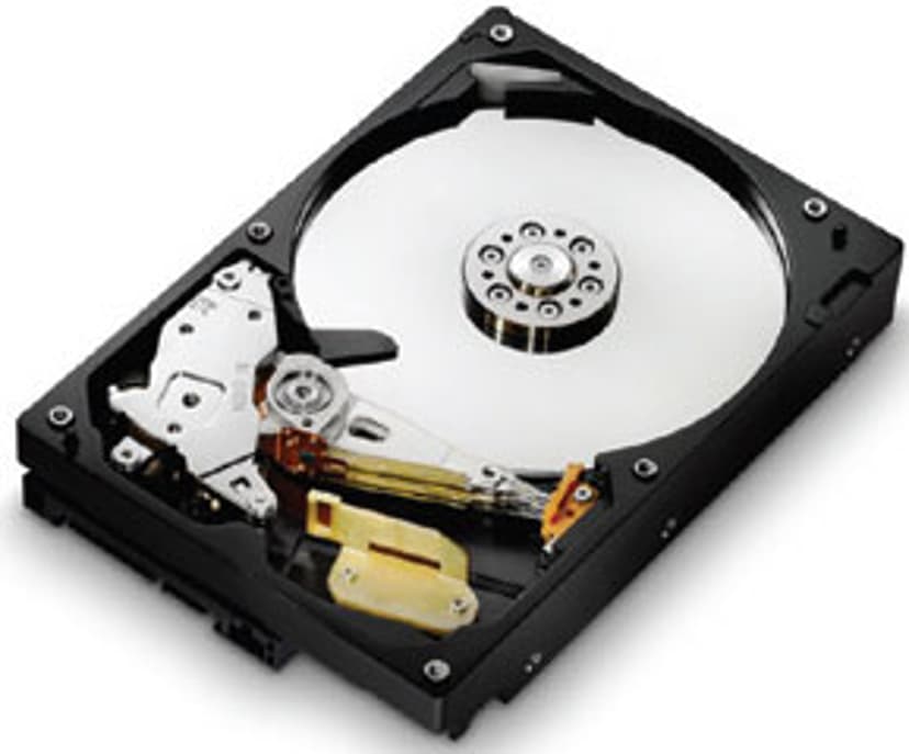HGST Deskstar 7K1000.C HDS721010CLA332