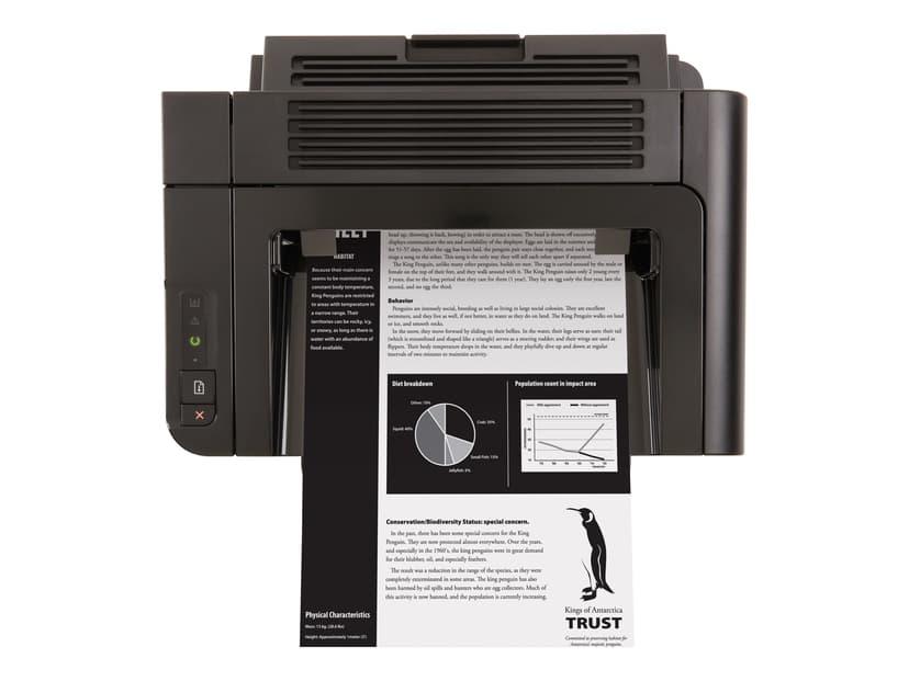 HP LaserJet Pro P1606DN