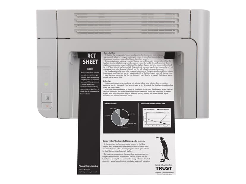 HP LaserJet Pro P1566