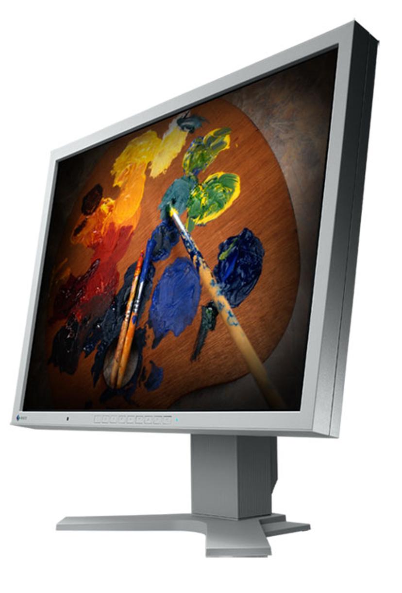 EIZO FlexScan S2100