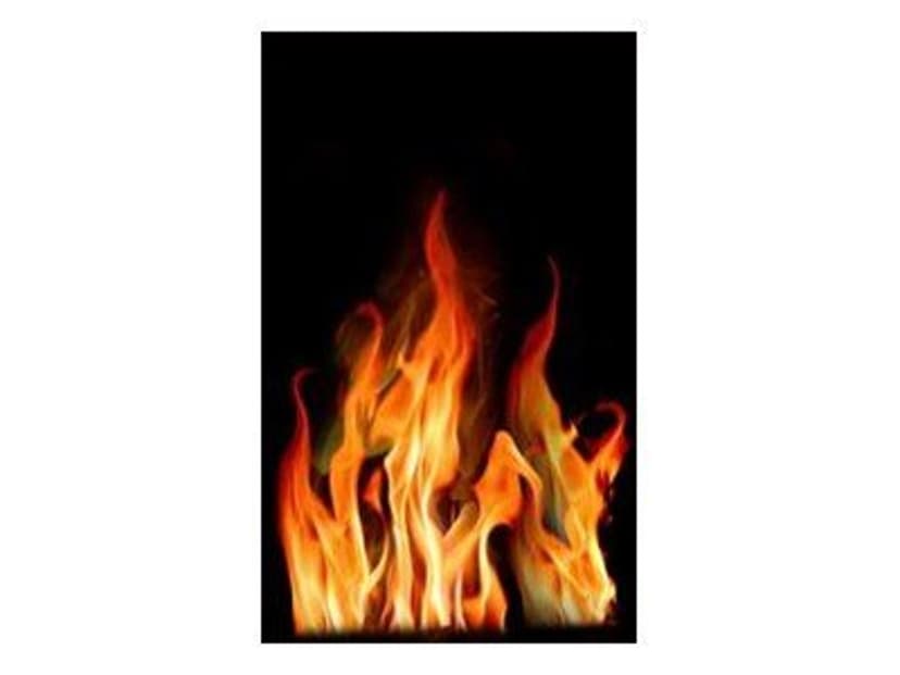Zagg ZAGGskins Flames