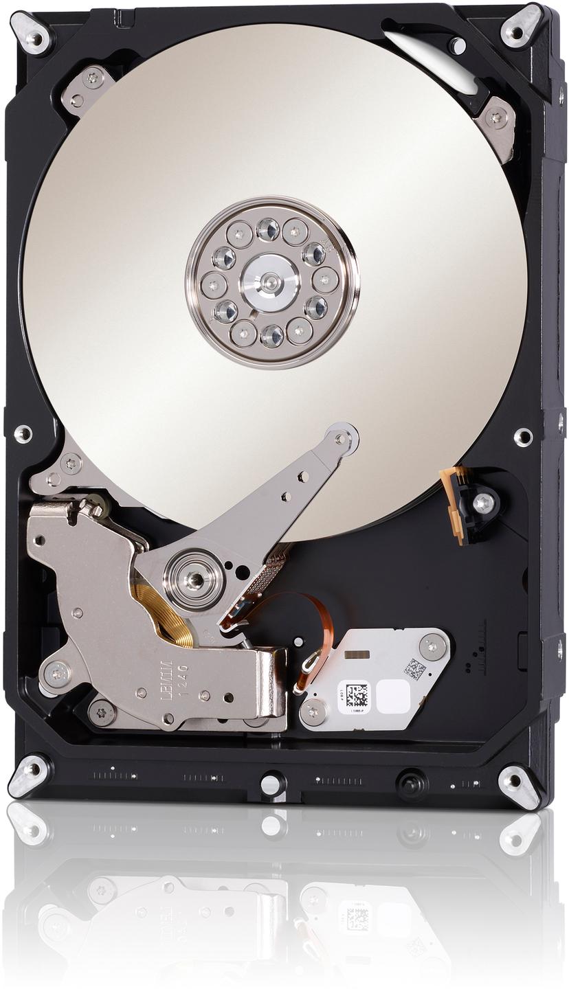 Seagate Enterprise NAS HDD