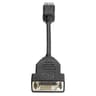 HP DisplayPort to DVI-D Adapter 0.19m DisplayPort DVI-D Musta