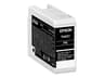Epson Muste Kuva Musta 25ml - SC P700 