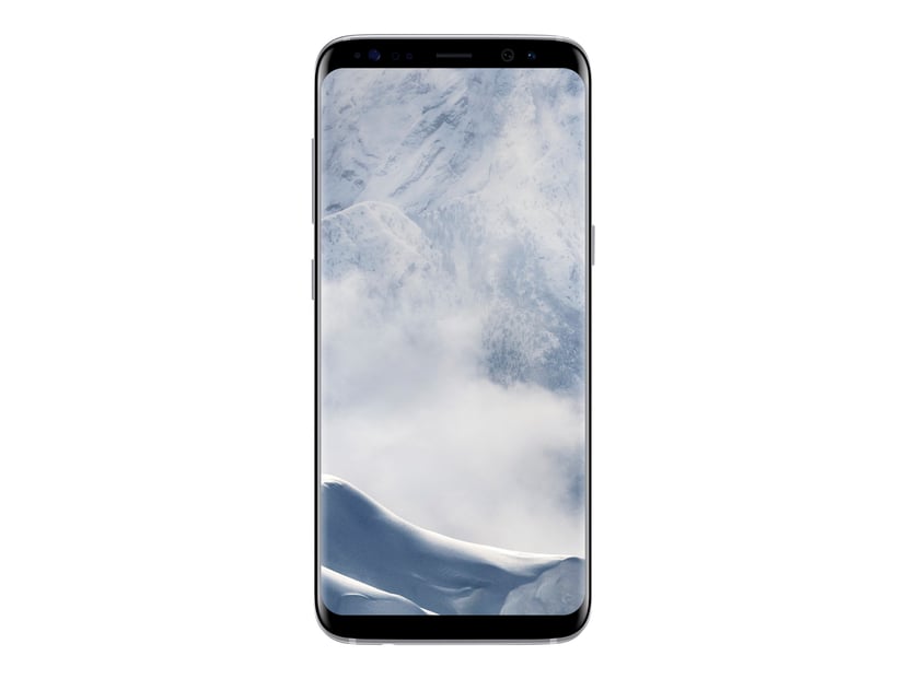 galaxy s8 plus arctic silver