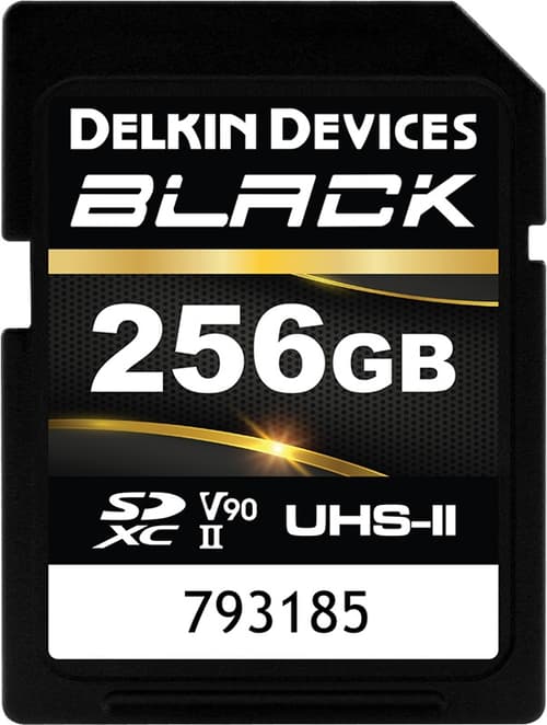 Delkin Sd Black Rugged Uhs-ii (v90) R300/w250 256gb 256gb Sdxc Uhs-ii Minneskort
