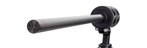 Røde Ntg8 Shotgun Microphone P48v