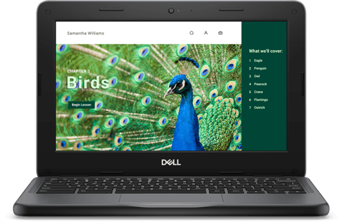 Chromebook 3120 Intel® N 4gb 64gb 11.6"