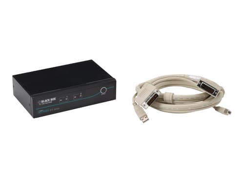 Black Box Dt Kvm Switch (incl. Cables) – Dvi-d Usb 2-port