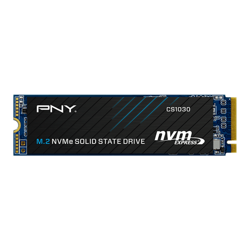 Pny Cs1030 250gb Ssd