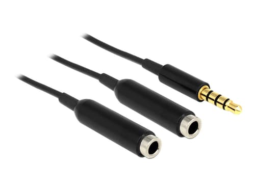 Delock 65575 Ljudkabel 0,25 M 3,5mm 2 X 3.5mm Svart 0.25m 3.5mm 2 X 3.5mm