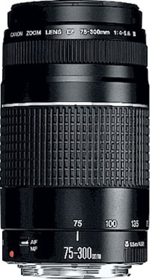 Canon Ef 75-300mm/4-5.6 Iii – (fyndvara Klass 2)