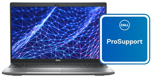 Dell pro support 