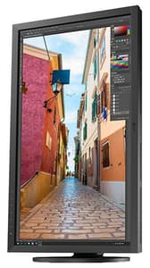 Een afbeelding van een verticaal georiënteerde monitor op een standaard. Op het scherm wordt een verticaal georiënteerd kunstwerk getoond in Adobe Photoshop, dat de synergie laat zien tussen een verticale weergave en het werken aan vergelijkbaar georiënteerde ontwerpstukken.