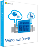 Dell Microsoft Windows Server 2019 10 User CAL 