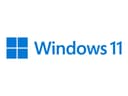 Microsoft Windows 11 Pro 