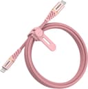 premium-usb-c-to-lightning-cable