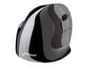 Evoluent Verticalmouse D Medium Wireless Trådlös Vertikal mus Grå Svart