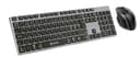 Voxicon BT 290 Plus + Pro Mouse DM-P30WL Nordiska länderna Sats med tangentbord och mus 