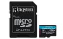 Kingston Canvas Go! Plus 256GB microSDXC UHS-I Memory Card 