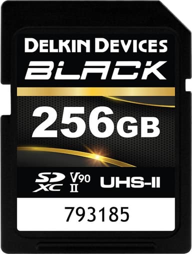 Delkin Sdxc Black Rugged Uhs-ii V90 U3 C10 R300/w250 256Gb 