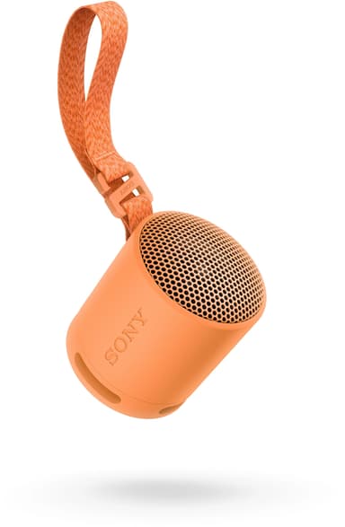 Sony SRS-XB100 Wireless Speaker - Orange Oranssi