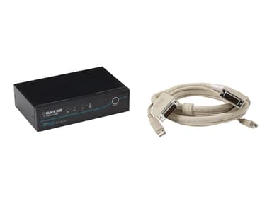 Black Box DT KVM Switch (Incl. Cables) - DVI-D USB 2-Port 