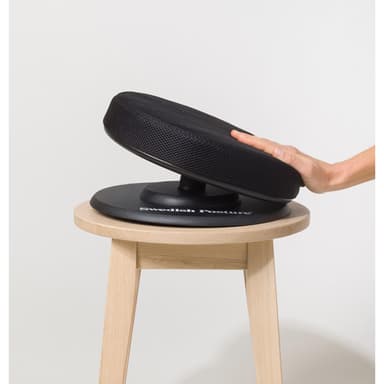 SWEDISH POSTURE Ergonomisk Balanssits 
