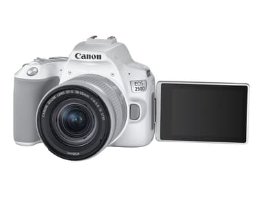 Canon EOS 250D + EF-S 18–55 mm 