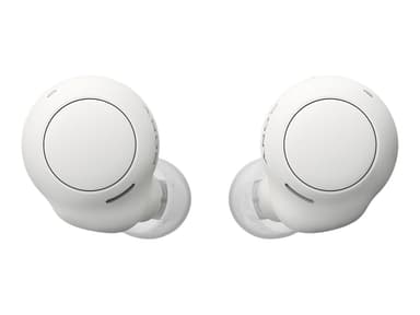 Sony WF-C500 aidosti langattomat kuulokkeet Aidosti langattomat kuulokkeet Valkoinen