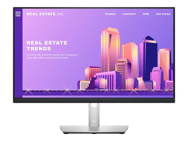 Dell P2422H 23.8" 1920 x 1080 16:9 IPS 60Hz