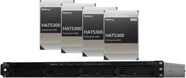 Synology RS822+ med 4st förinstallerade 12TB-diskar (48TB) 
