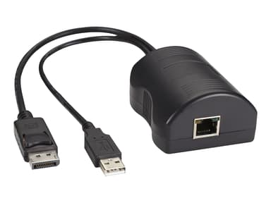 Black Box DCX Server Access Module - Displayport USB 