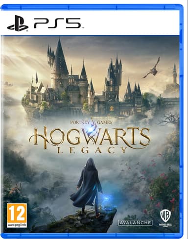 Warner Bros Interactive Hogwarts Legacy Sony PlayStation 5 