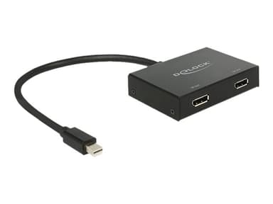 Delock Adapter 